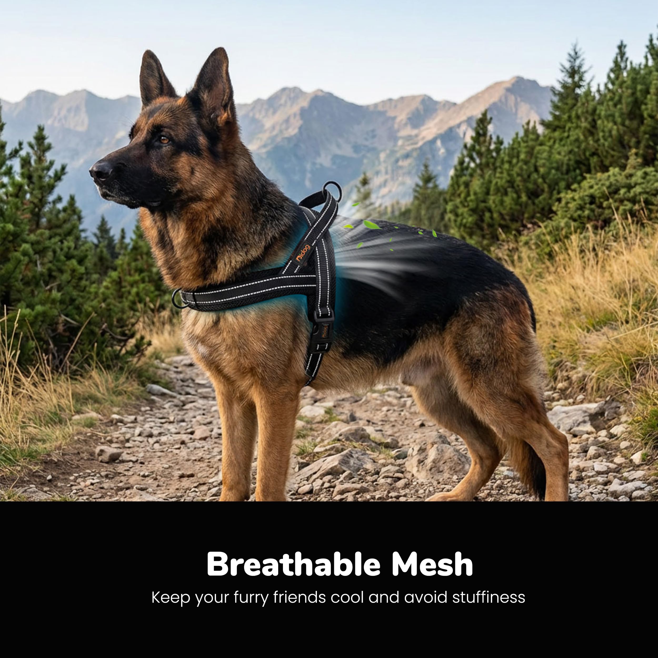 Didog maille respirante gros plan montrant confort et ventilation