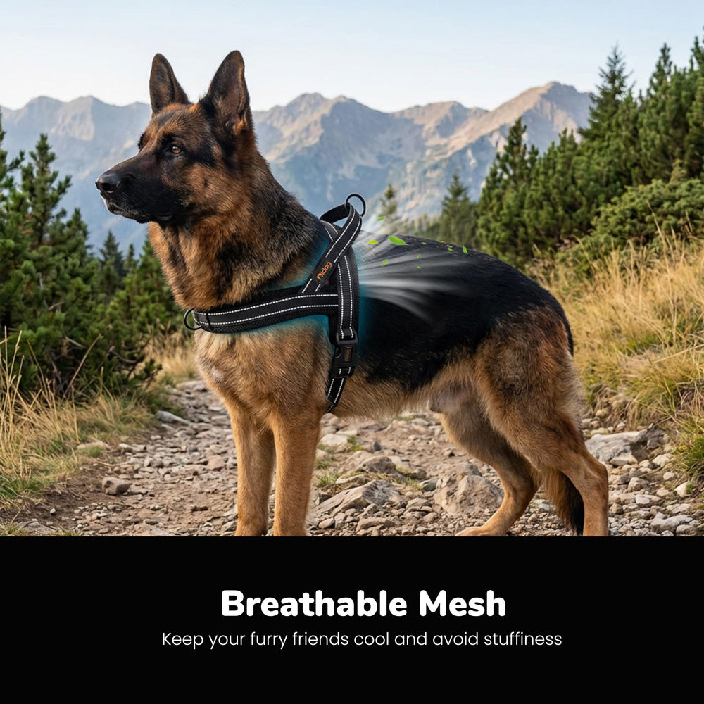 Didog maille respirante gros plan montrant confort et ventilation