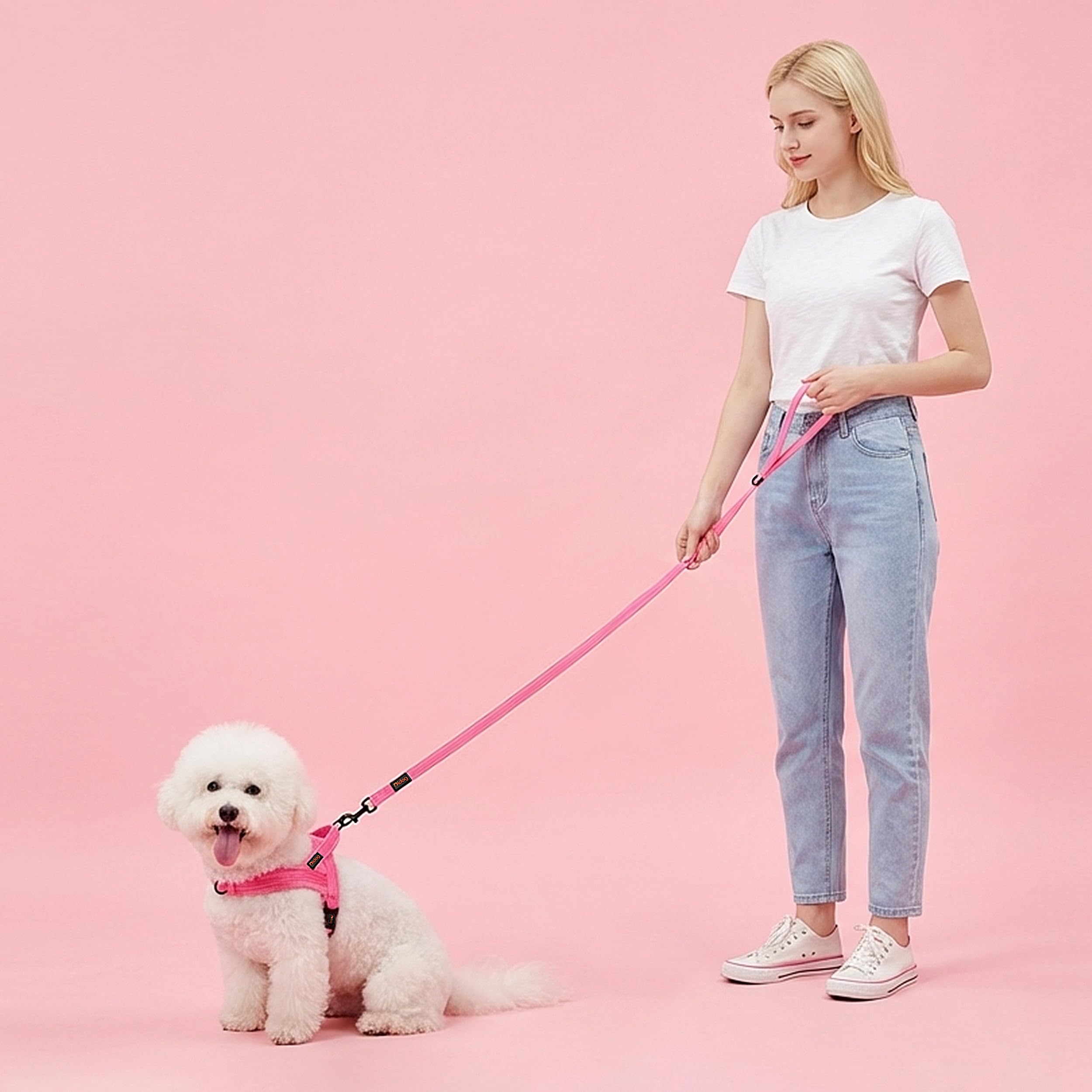 Didog mousqueton pivotant gros plan, mouvement sans torsion amélioré