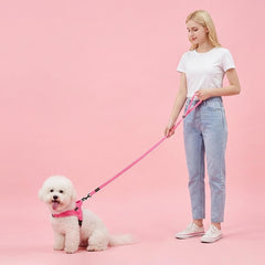 Didog mousqueton pivotant gros plan, mouvement sans torsion amélioré