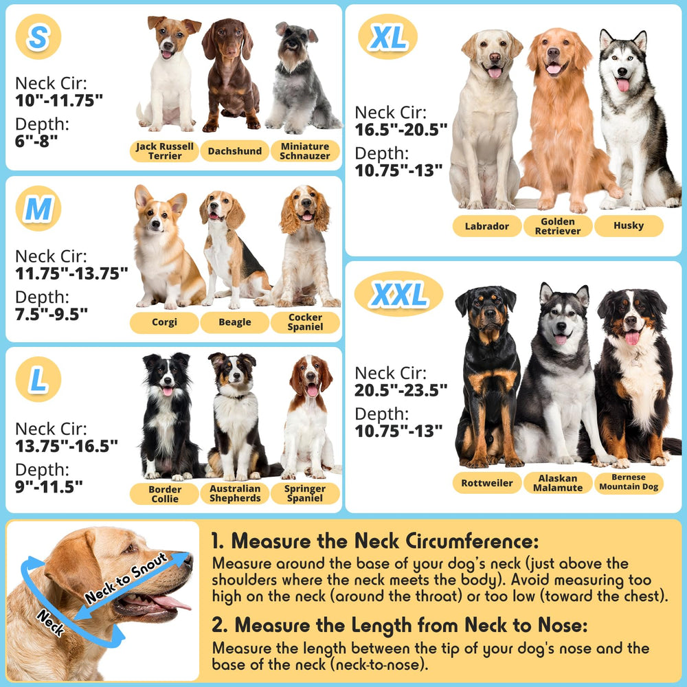 Didopet collerette portée par chien à la maison pour protection efficace