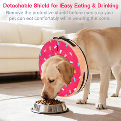 Didopet collier porté par chien assis facilitant alimentation