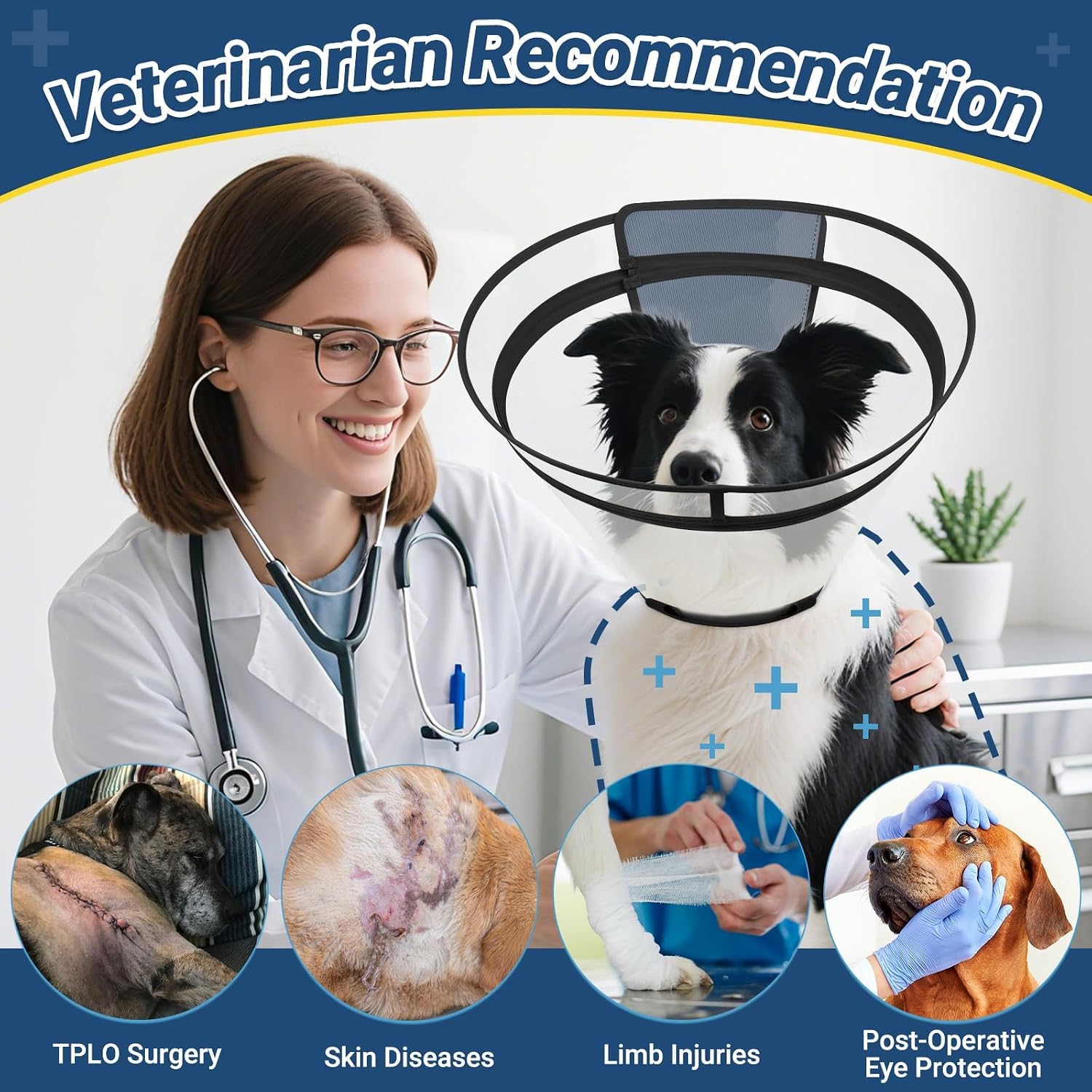Didopet velcro et anneaux élastiques, maintien sûr et ajustable