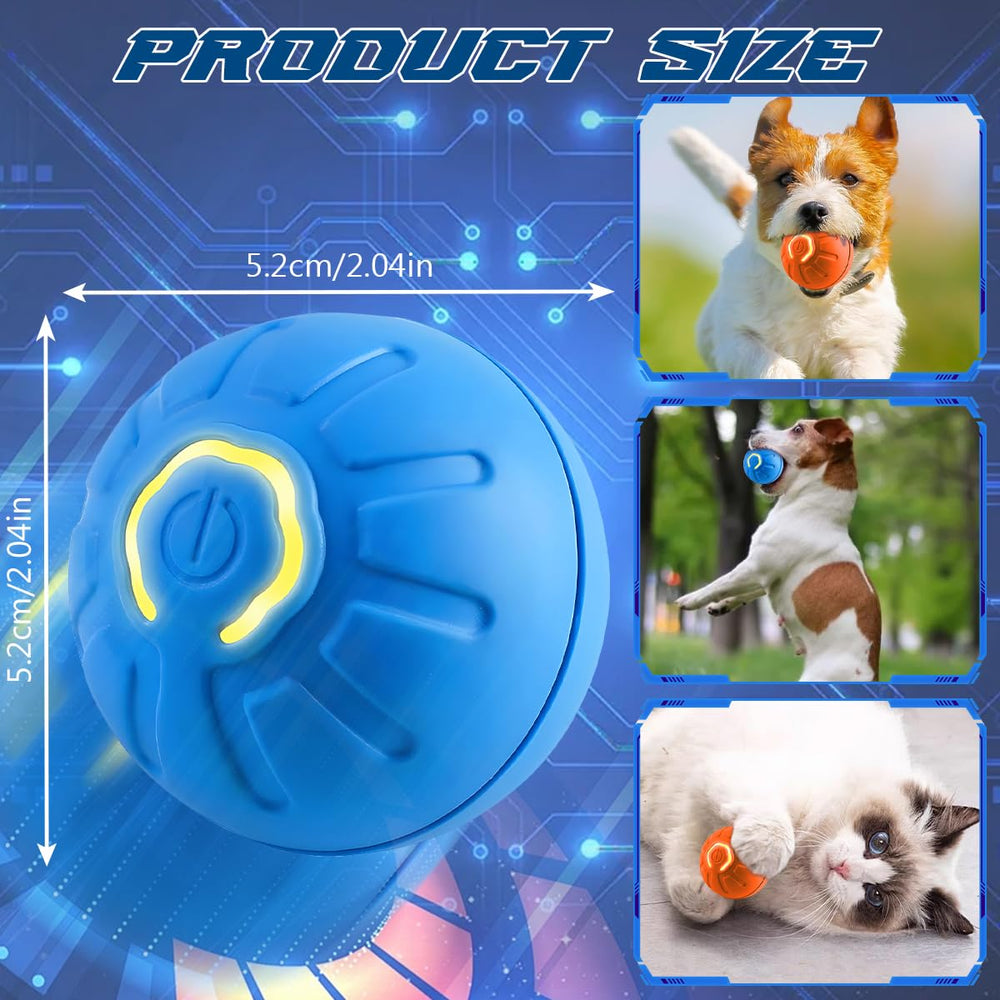 Diehous balle utilisée par un chien stimulant activité et amusement