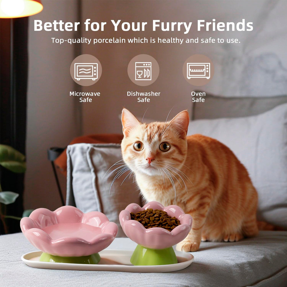 DIF DECO comparaison taille à la main montrant hauteur adaptée chaton