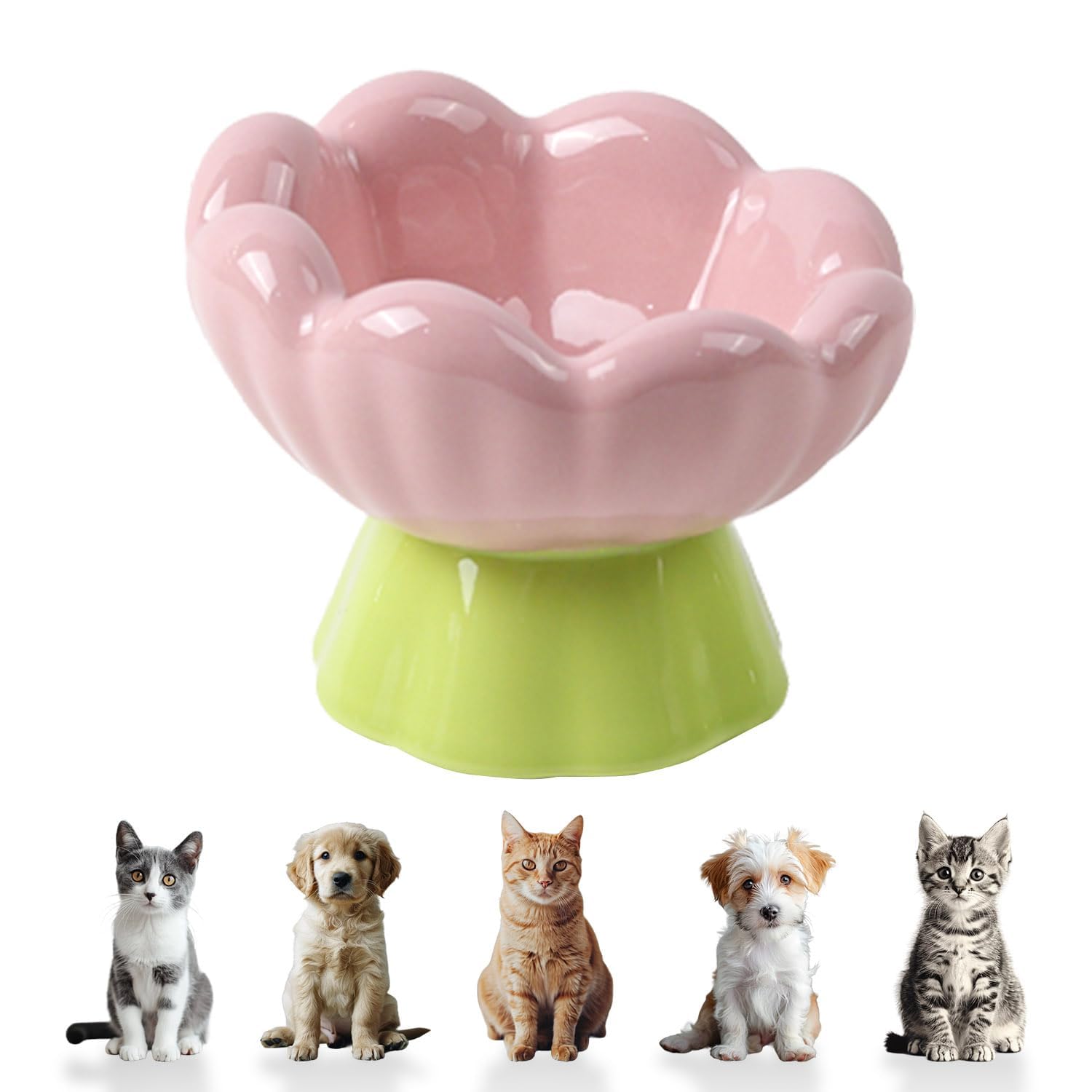 DIF DECO gamelle céramique face montrant design tulipe et stabilité