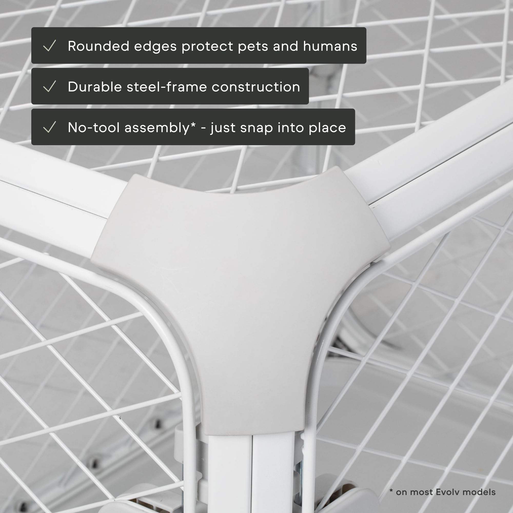 Diggs Evolv échelle de taille avec chien montrant proportions adaptées