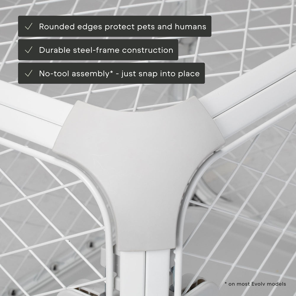 Diggs Evolv échelle de taille avec chien montrant proportions adaptées