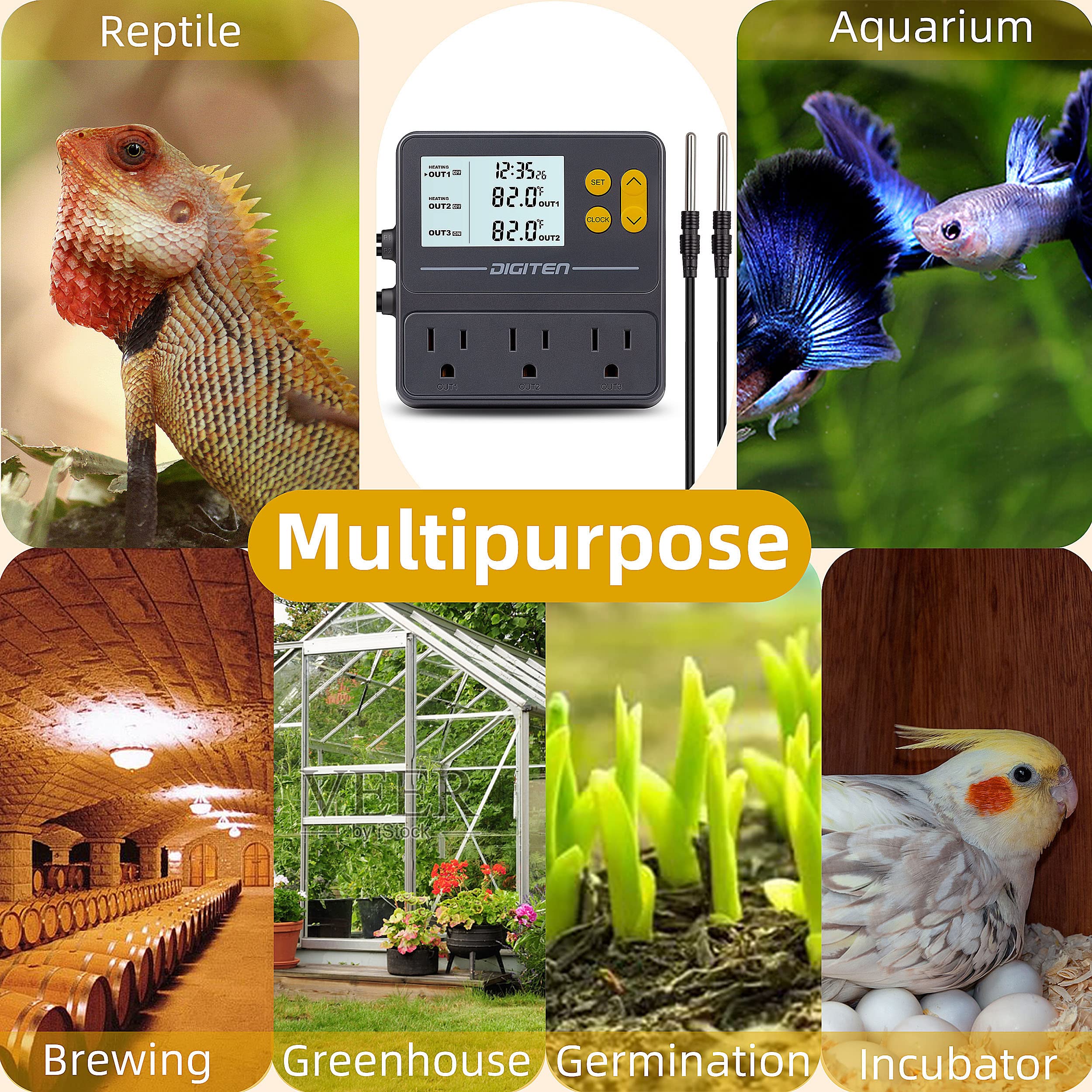 DIGITEN installé dans vivarium et serre pour usage polyvalent