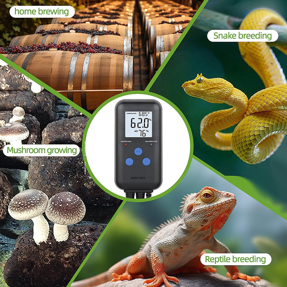 DIGITEN utilisé dans une mini-serre pour protéger jeunes plantes