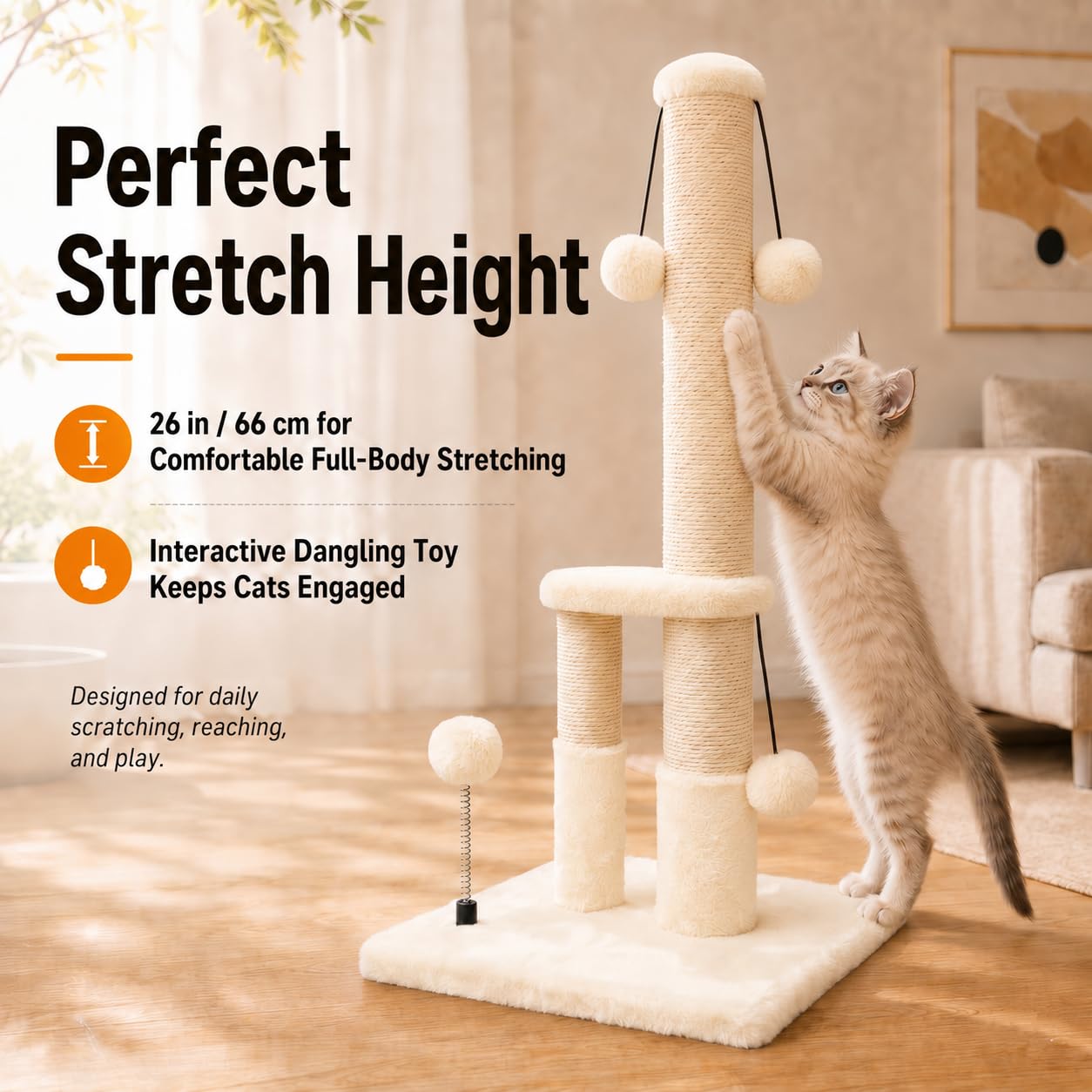 Dimaka balles suspendues stimulant le jeu et l’activité du chat