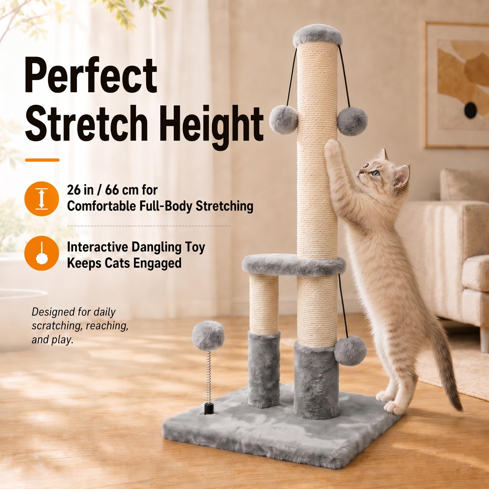 Dimaka base large 36x36 cm garantissant moins de basculement pour chats vifs