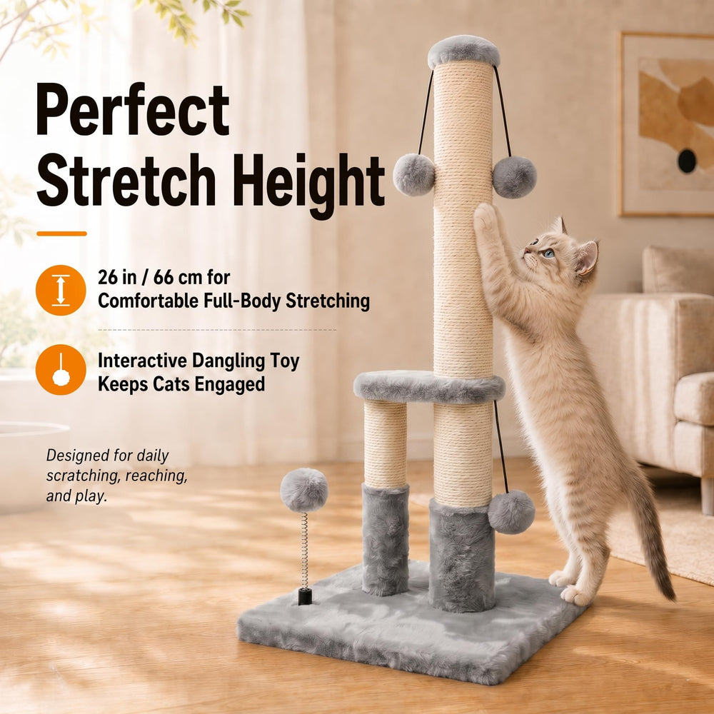Dimaka base large 36x36 cm garantissant moins de basculement pour chats vifs