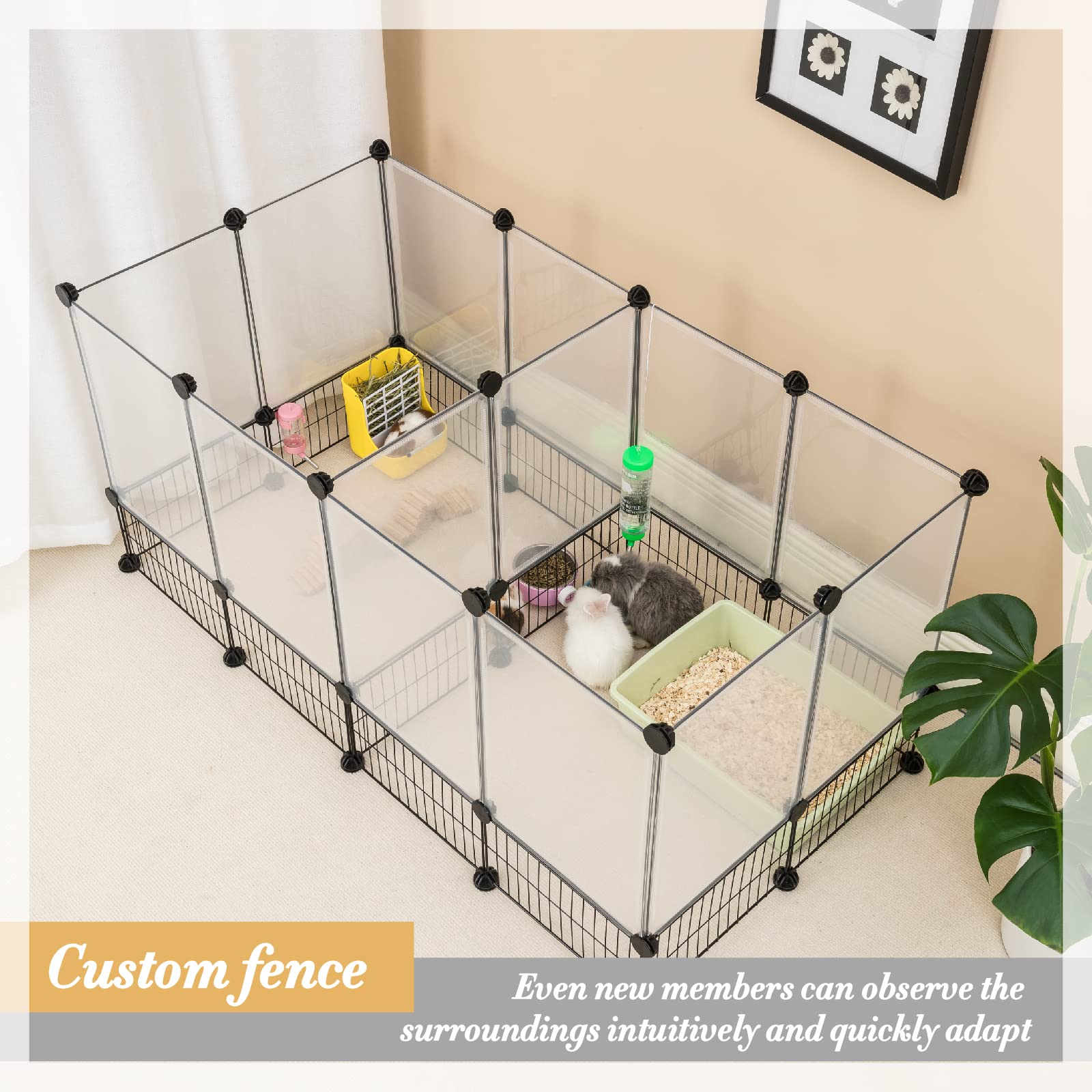 DINMO paroi transparente PP gros plan visibilité optimale