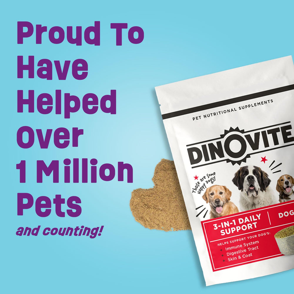 Dinovite utilisé en cuisine avec chien moyen, simplicité d'administration