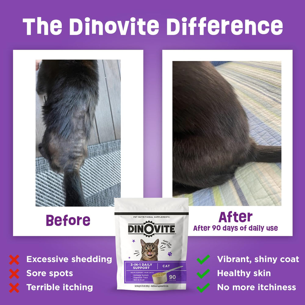 Dinovite saupoudré sur croquettes illustrant acceptation et appétence