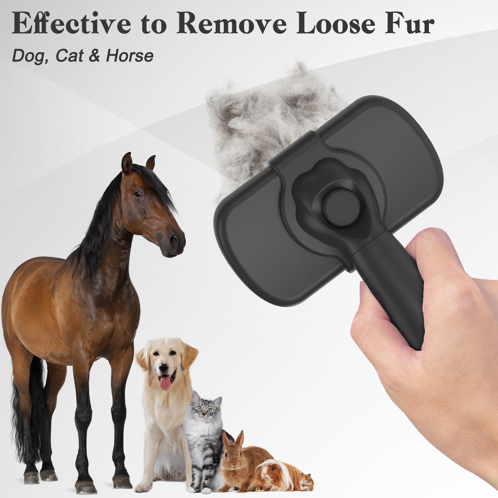Dipoo brosse à l’échelle montrant taille pratique et portabilité