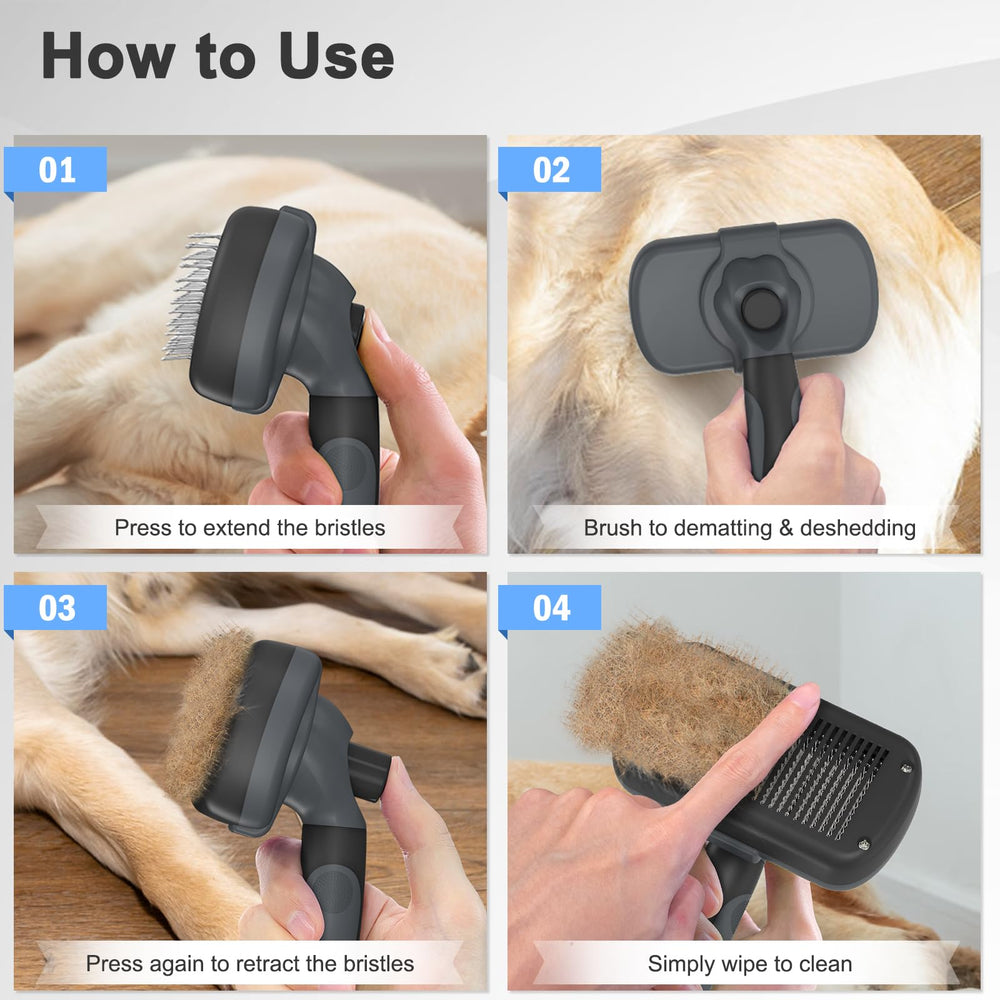 Dipoo brosse mise à l'échelle pour visualiser la taille et la maniabilité