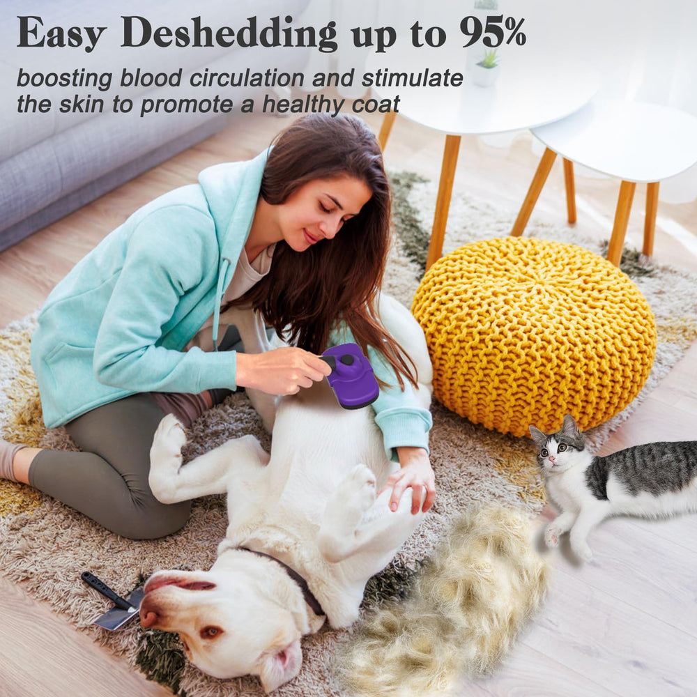 Dipoo brosse utilisée sur chat pour un pelage plus lisse et moins de nœuds