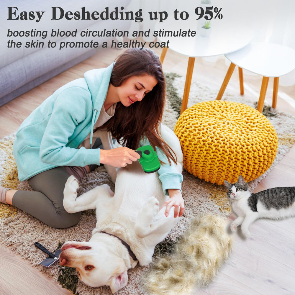 Dipoo brosse en action sur un chat pour un toilettage doux et efficace