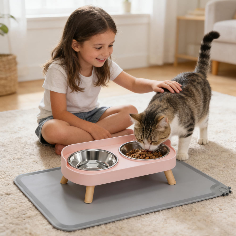 DIRZHX gamelle utilisée par un chat, posture plus confortable visible