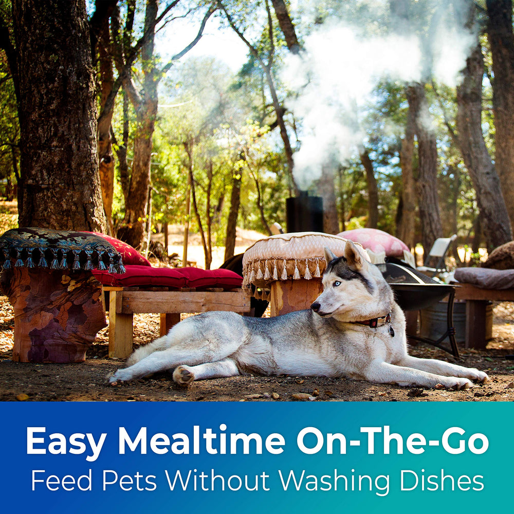 Disco Pets bol utilisé en camping, hygiène pratique en déplacement