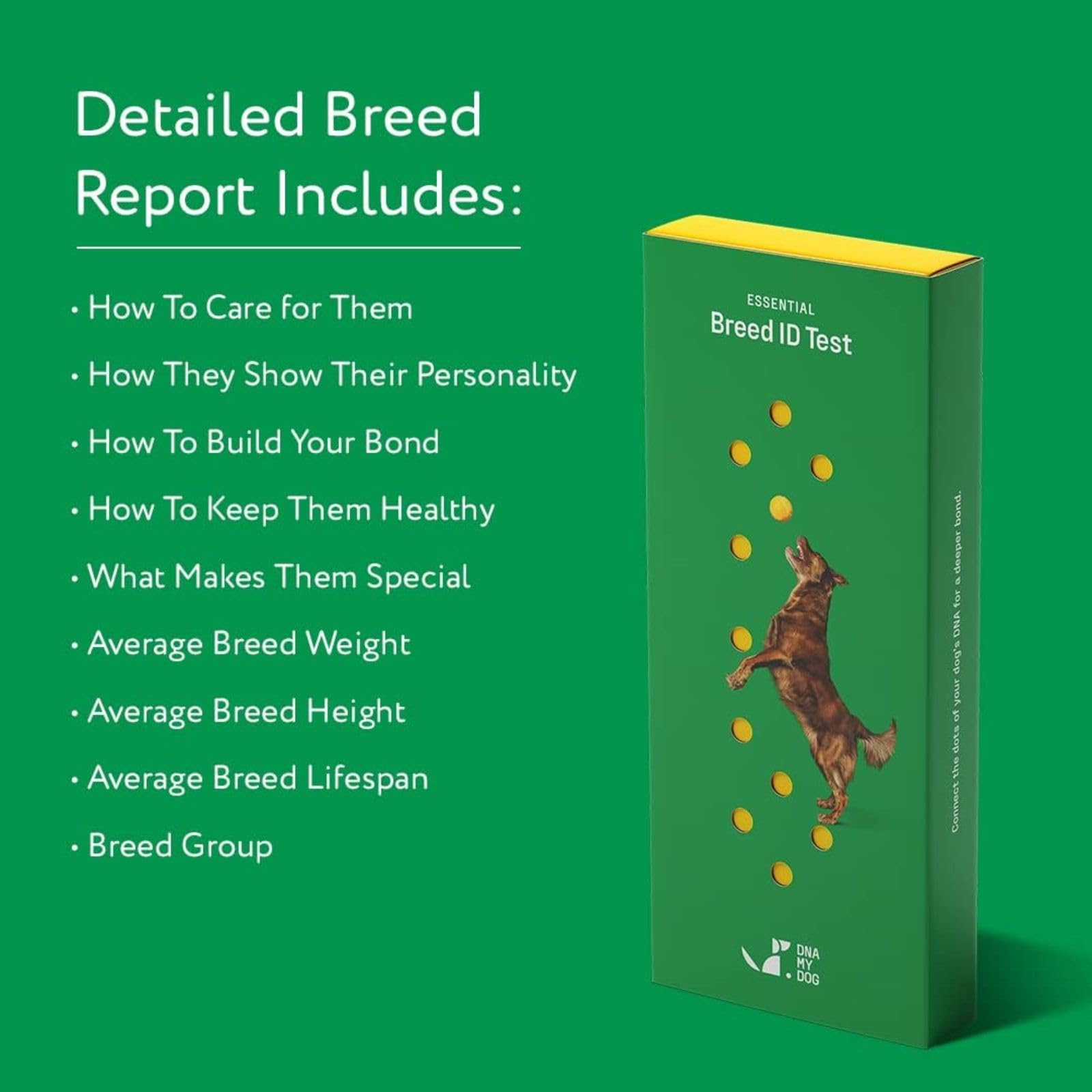 DNA MY DOG assortiment de races représentées pour comparaison visuelle