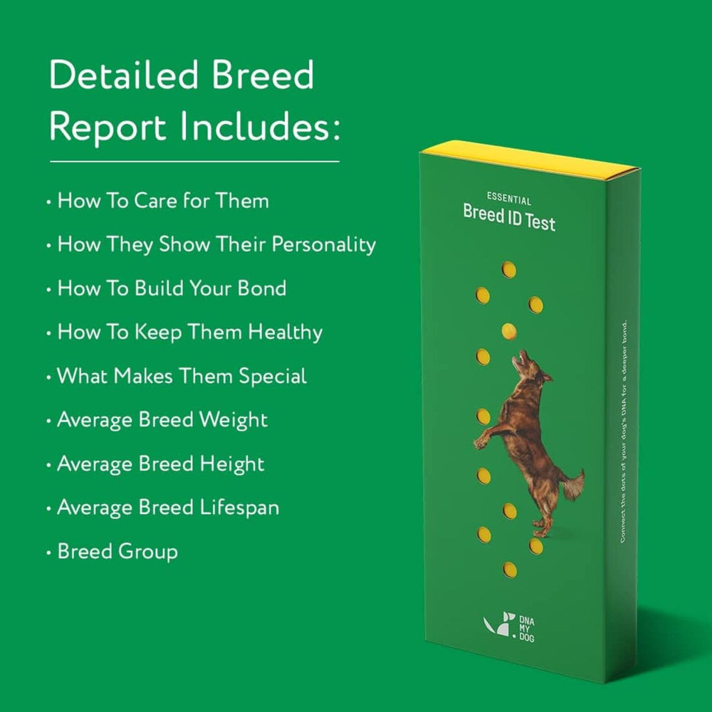DNA MY DOG assortiment de races représentées pour comparaison visuelle