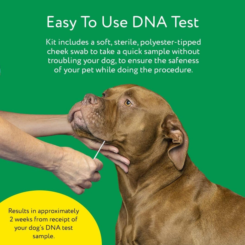 DNA MY DOG boîte élégante avec texte explicatif renforçant confiance