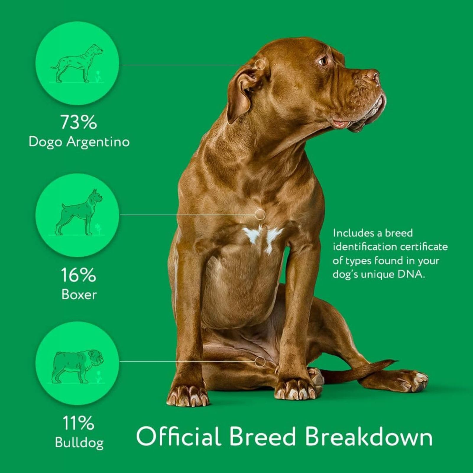 DNA MY DOG certificat imprimé prêt à télécharger utile pour archives