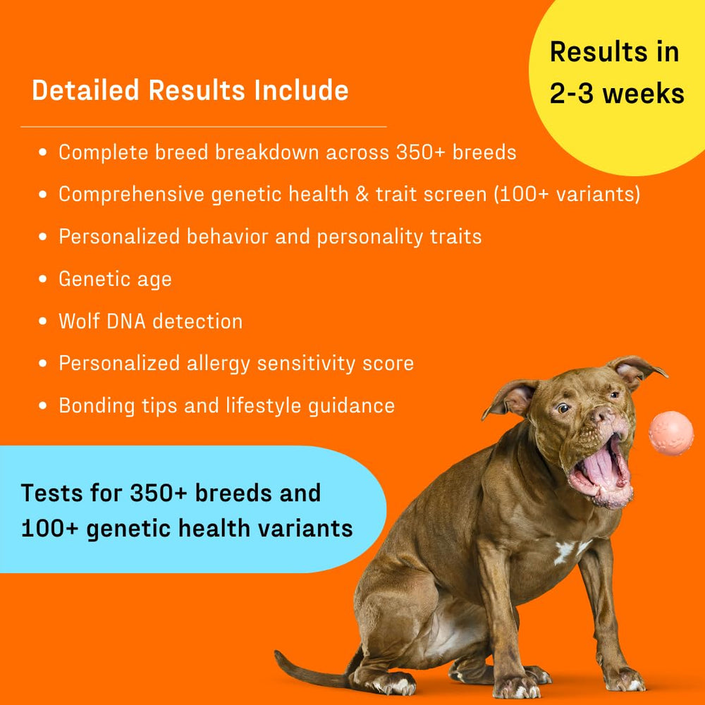 DNA My Dog notice détaillée en gros plan, instructions claires et guidées