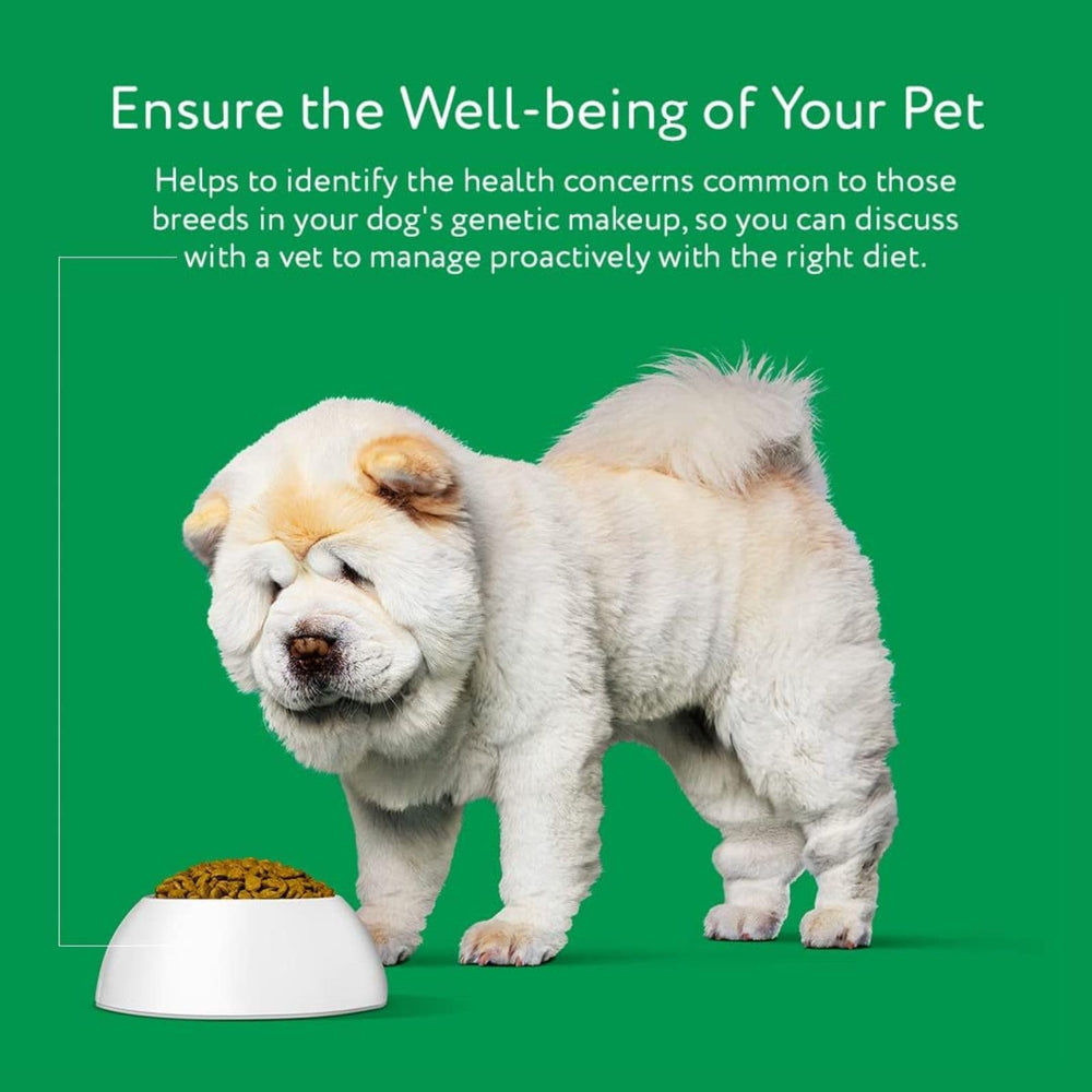 DNA MY DOG pose d’échantillon prête à l’envoi simple et sécurisée
