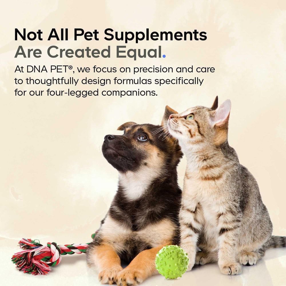 Bocal 3 oz de DNA PET tenu en main pour comparaison d'échelle, pratique et facile à transporter