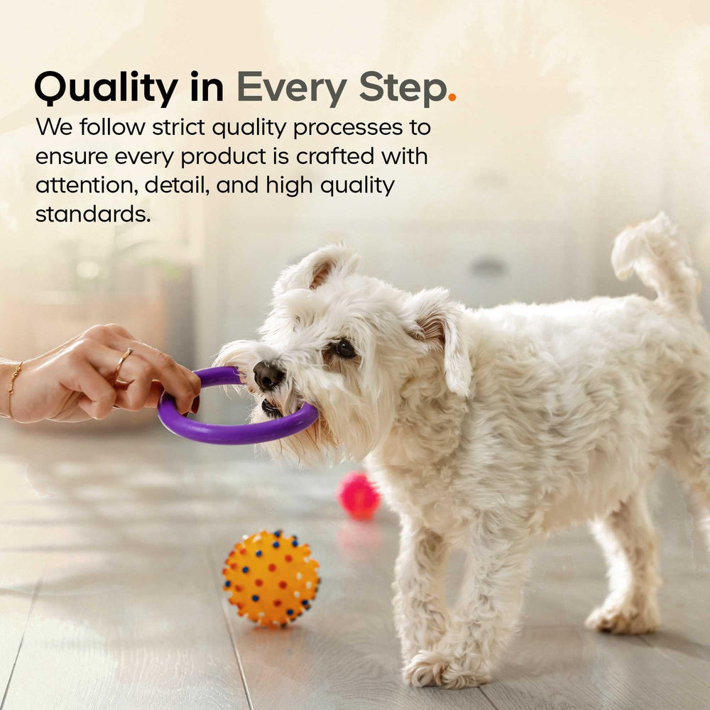 Étiquette et liste d'ingrédients du produit DNA PET, met en avant la transparence et l'absence d'additifs