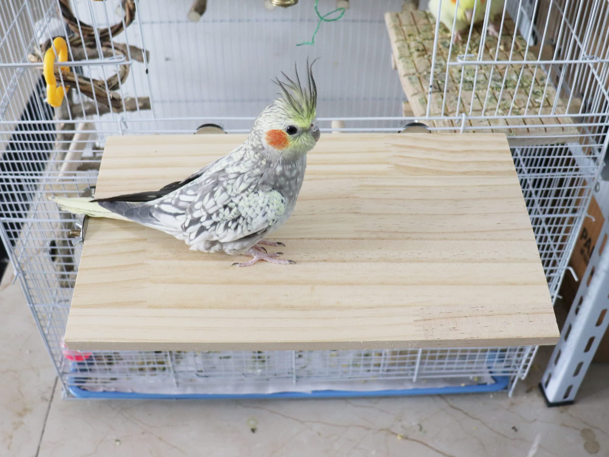 Dnoifne bois naturel gros plan montrant texture et sécurité