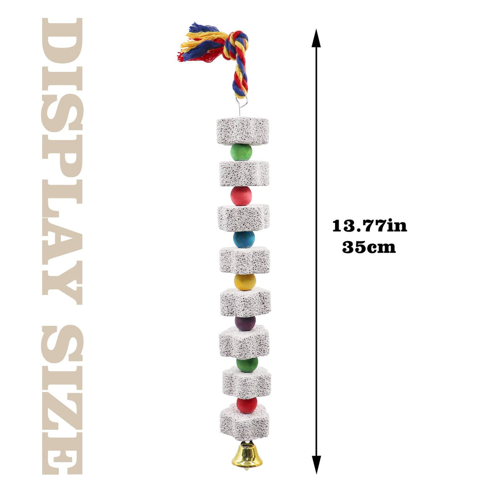 Dnoifne échelle et taille comparaison montrant 35 cm utilisable par plusieurs oiseaux