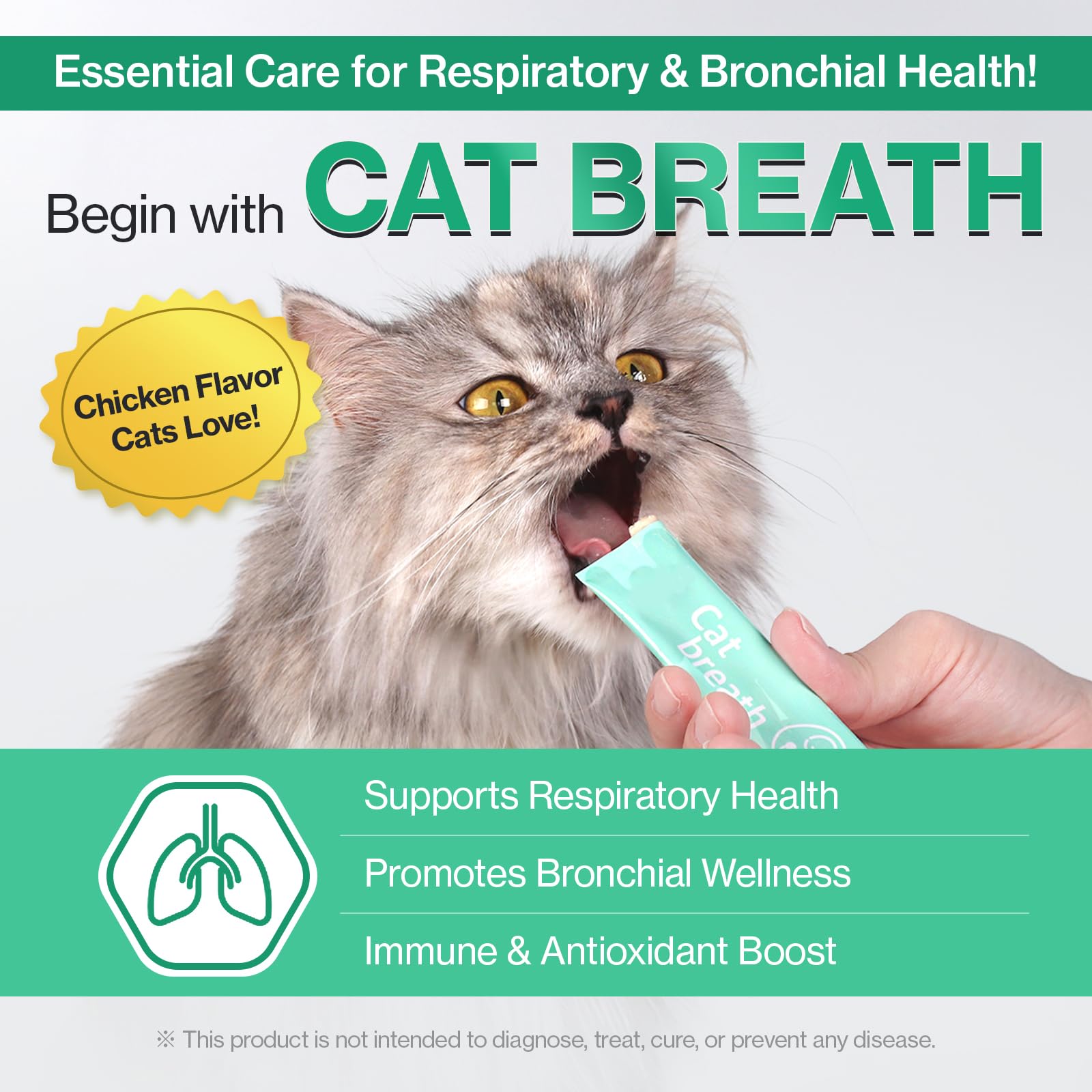 Doctor By stick tenu en main proche du chat pour accepter le traitement facilement