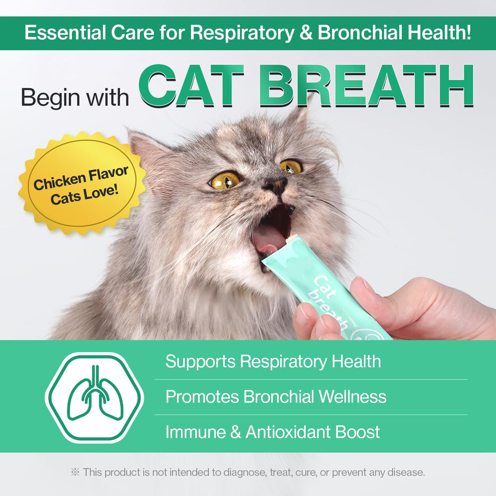 Doctor By stick tenu en main proche du chat pour accepter le traitement facilement