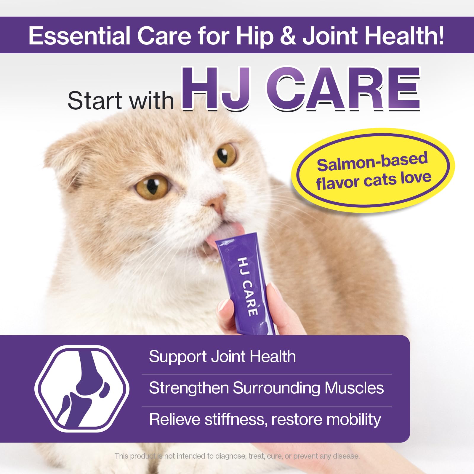 Doctor By gros plan sur la texture et la pâte saumon pour appétence accrue