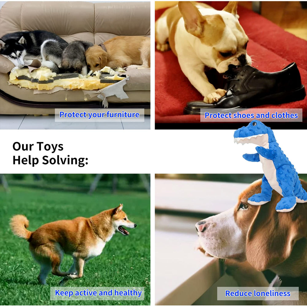 DODODOLA comparaison taille avec main montre adaptation selon chien