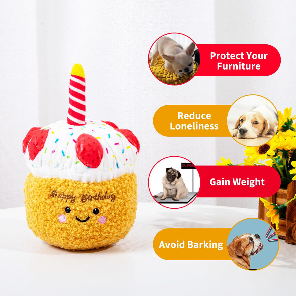 DODODOLA jouet en action avec chien jouant pour stimulation et exercice