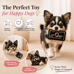 Dog Diggin Designs chien rapportant le jouet, encourage jeu actif et interaction