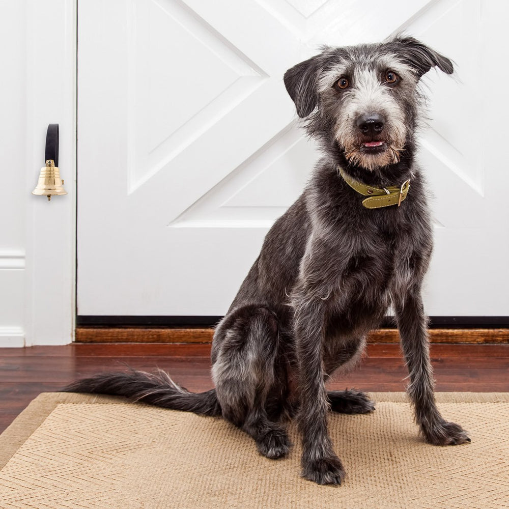 Dog Doorbell chiot frappant la sonnette pour demander à sortir