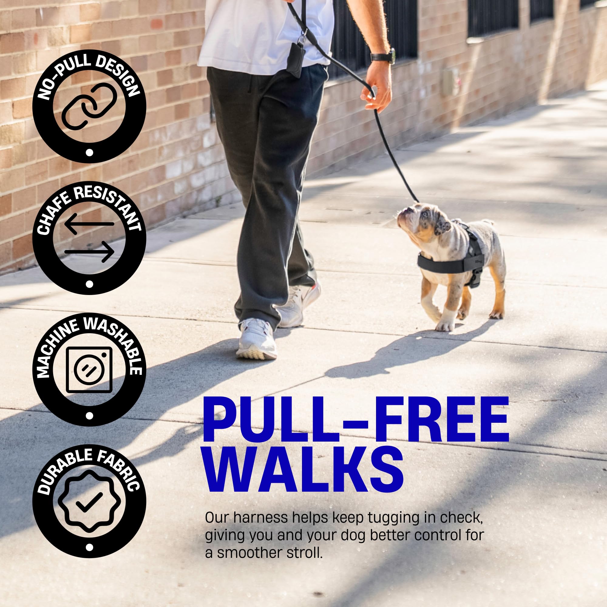 Dog Friendly Co anneau D arrière robuste pour fixation de laisse