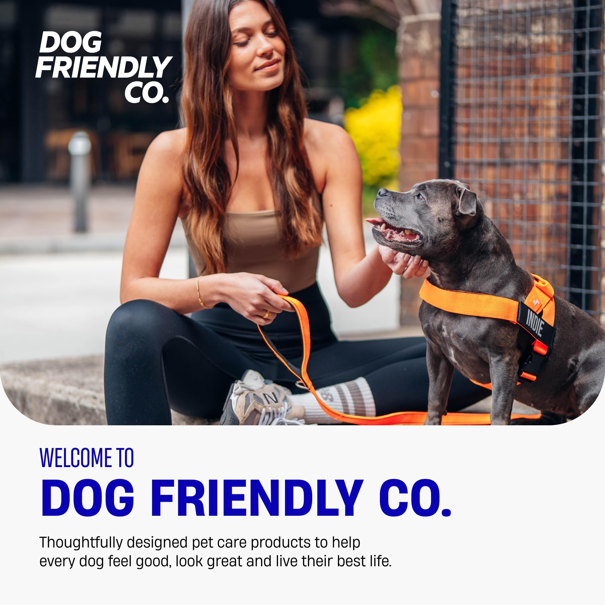 Dog Friendly Co harnais montré avec anneau frontal optionnel pour contrôle