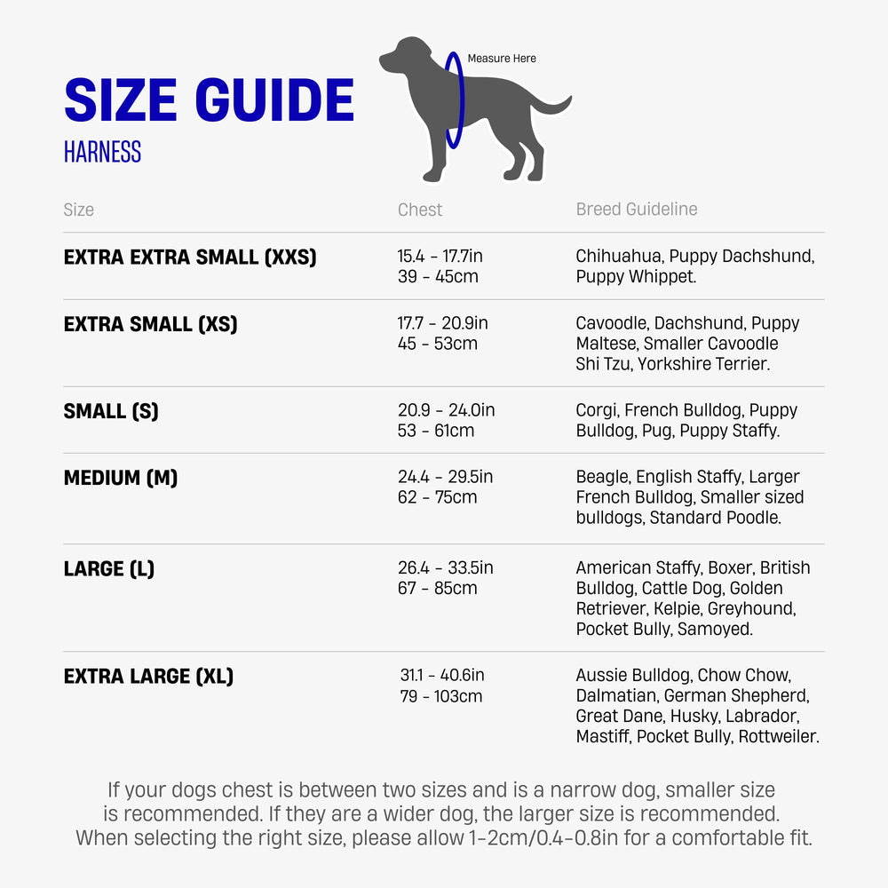 Dog Friendly Co harnais taille XL comparé à règle pour ajustement