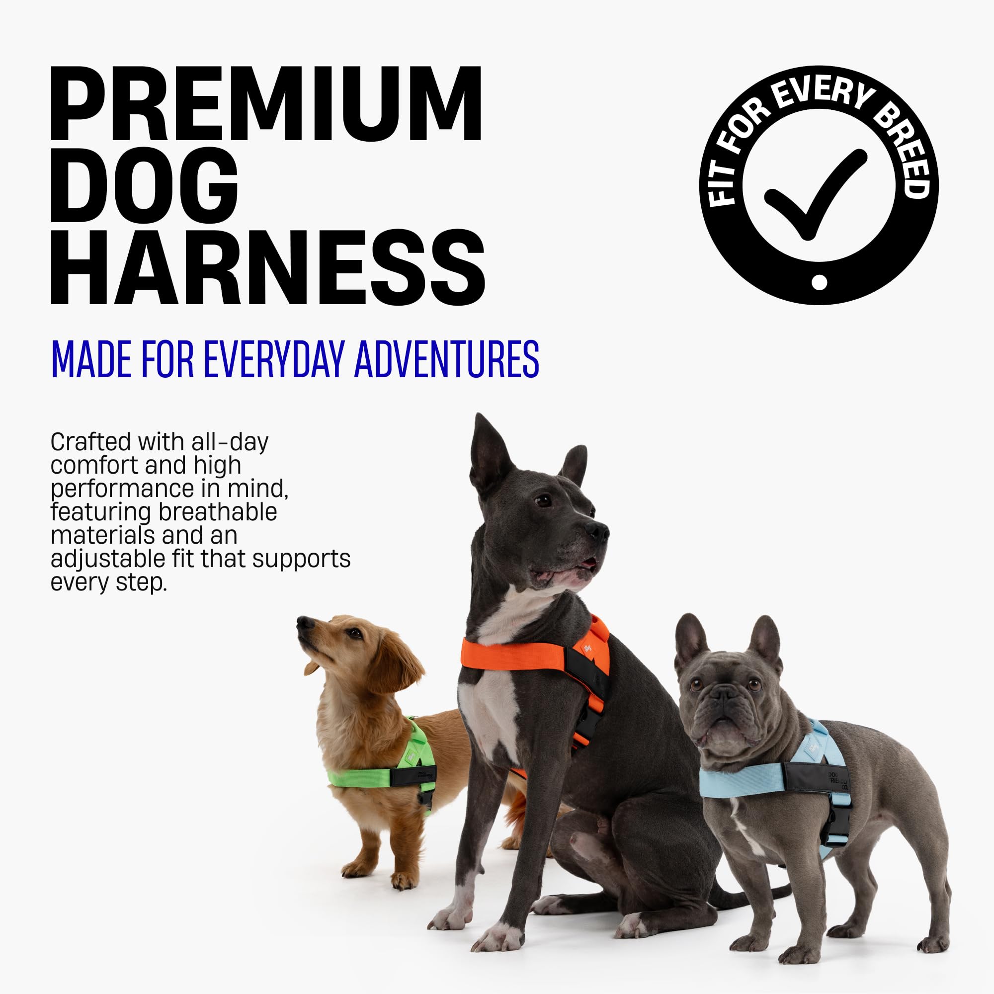 Dog Friendly Co poignée renforcée offrant contrôle rapproché