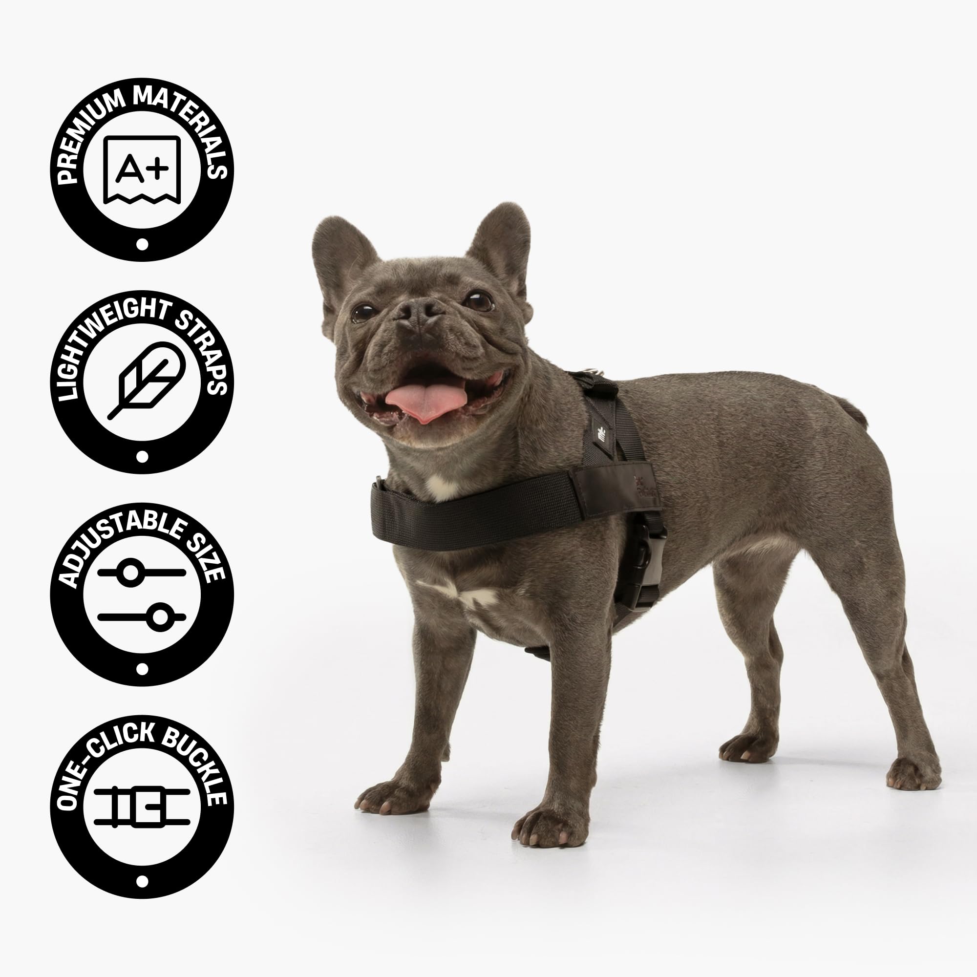 Dog Friendly Co D-ring dorsal Heavy-Duty pour attache solide de laisse