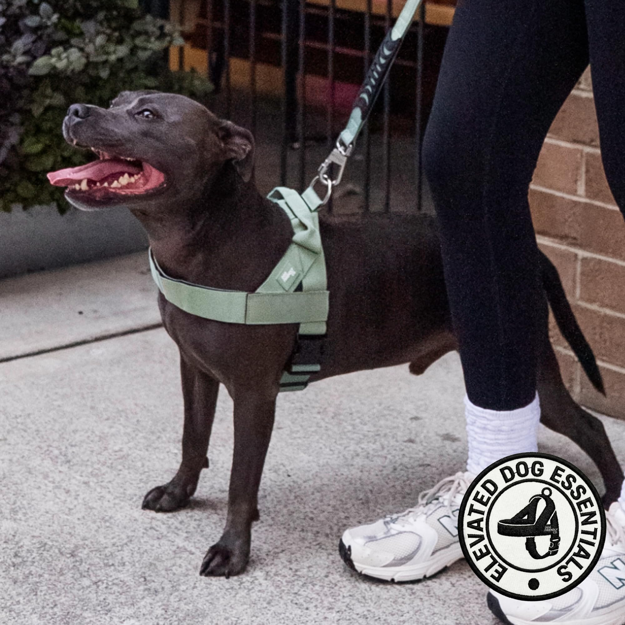 Dog Friendly Co tissu respirant gros plan pour réduction des frottements