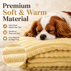 DOG IS KING chien allongé sur couverture pour relaxation et sécurité